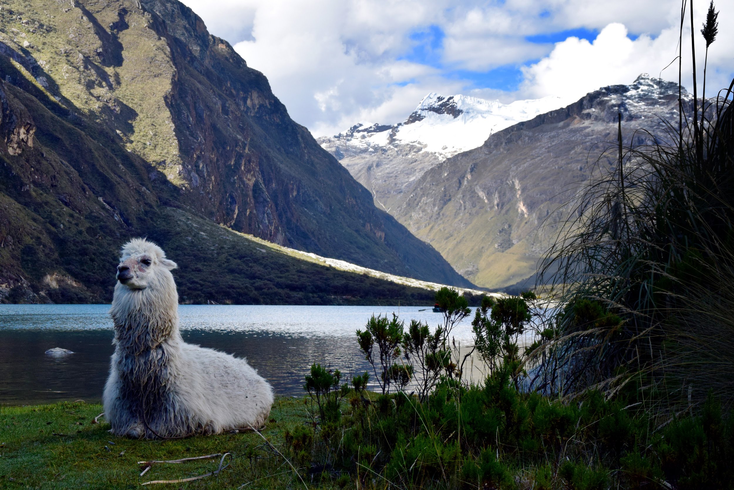 Huascarán National Park 14